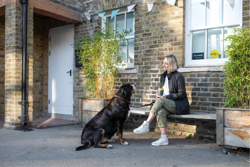 How to Adjust a New Dog to Changing Seasons