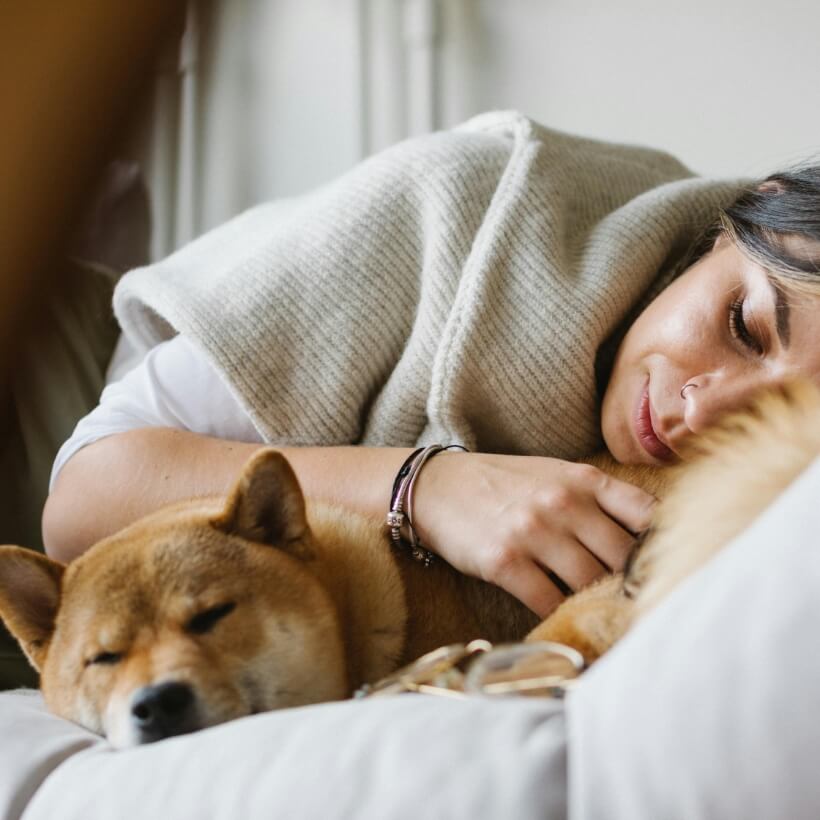 Keep your dog relaxed during fireworks